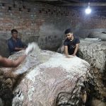সরকার বিনা মূল্যে ৩০ হাজার টন লবণ দেবে চামড়া সংরক্ষণের জন্য