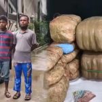 আলুর বস্তায় গাঁজা, দুই মাদক কারবারি গ্রেপ্তার